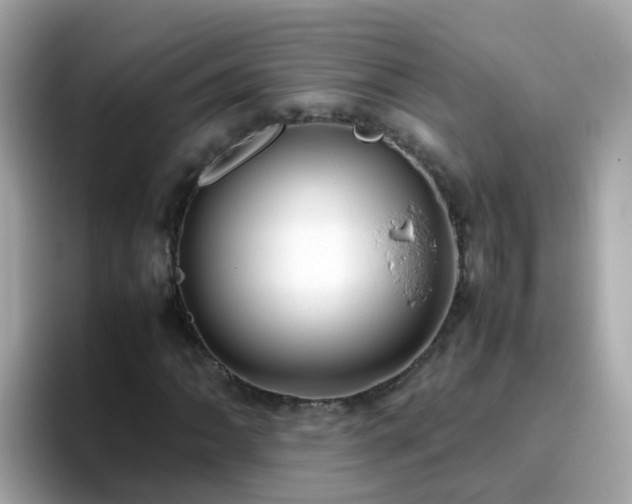 X0000096671062200802121147