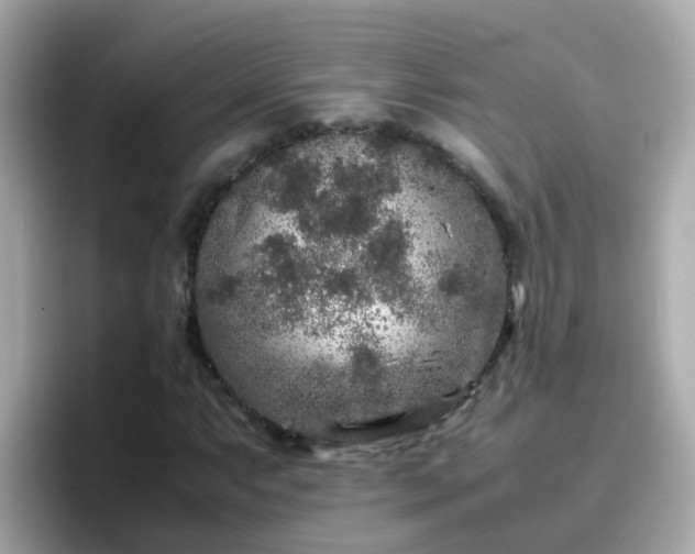X0000096671063200802121147