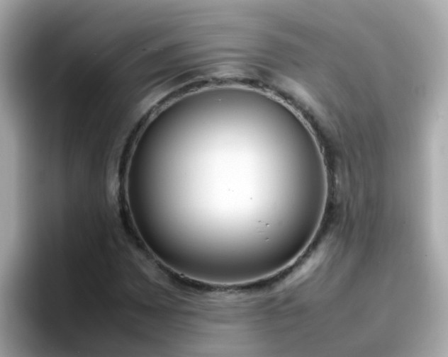 X0000096671065200802121147