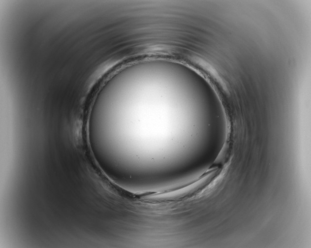 X0000096671066200802121147