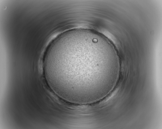 X0000096671067200802121147