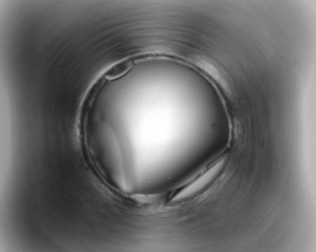 X0000096671068200802121147