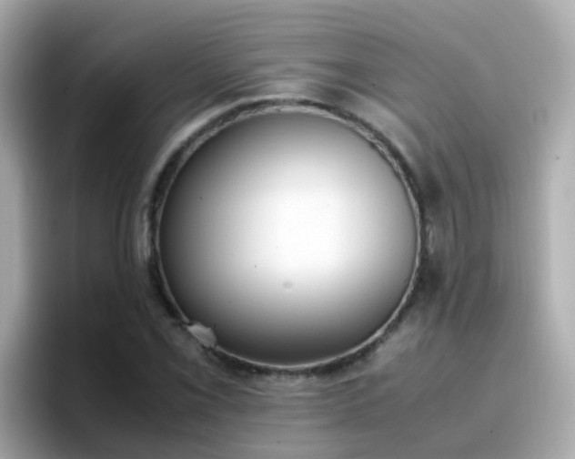 X0000096671069200802121147