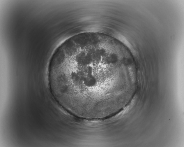 X0000096671071200802121147