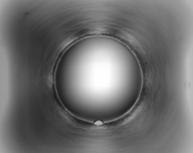 X0000096671073200802121146