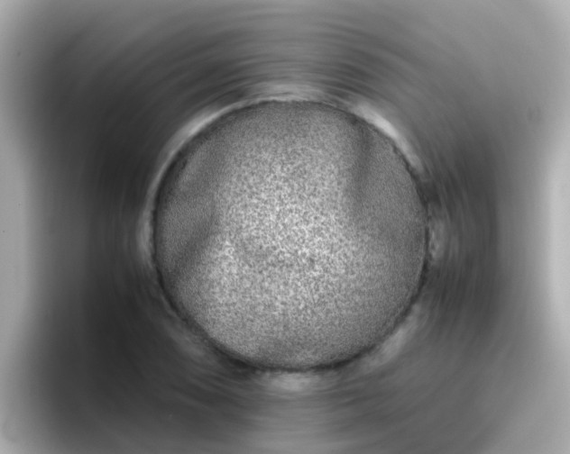 X0000096671074200802121146