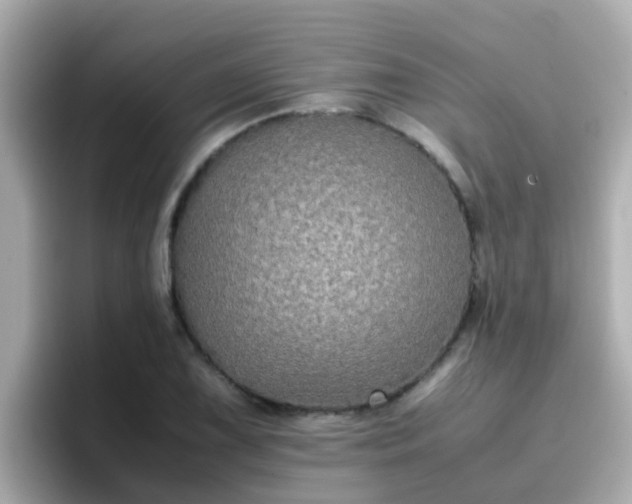 X0000096671075200802121146
