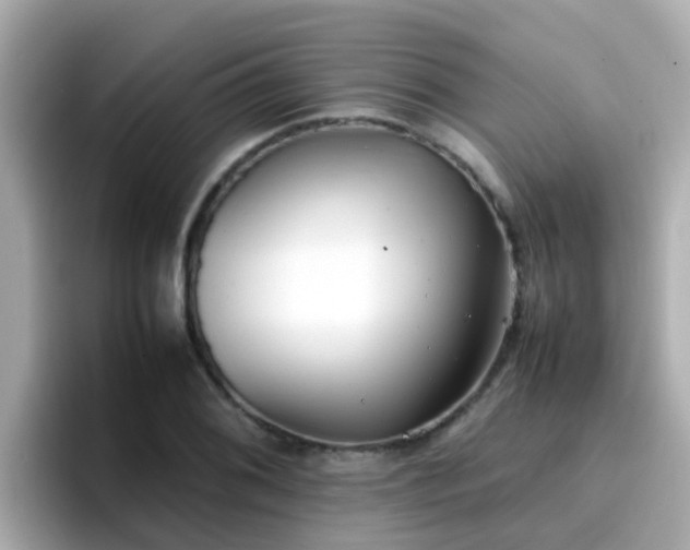 X0000096671076200802121146