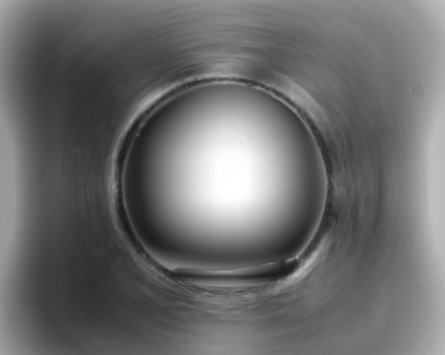X0000096671077200802121146