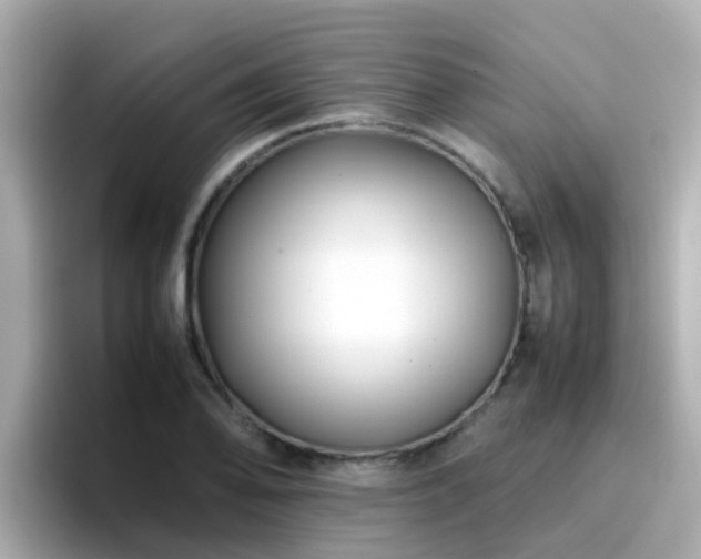 X0000096671078200802121146