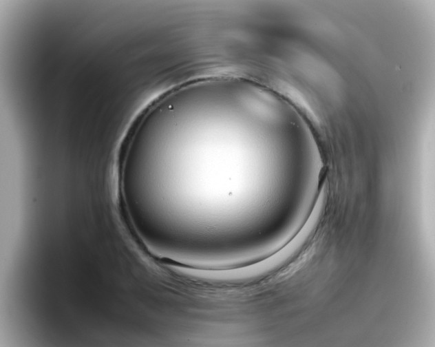 X0000096671079200802121146