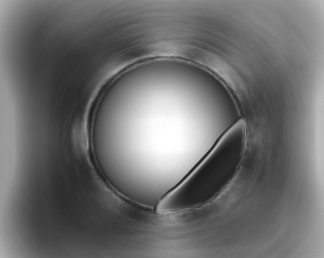 X0000096671080200802121146