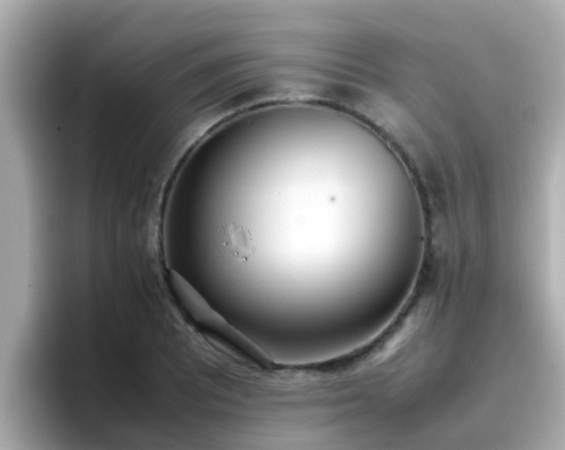 X0000096671081200802121146