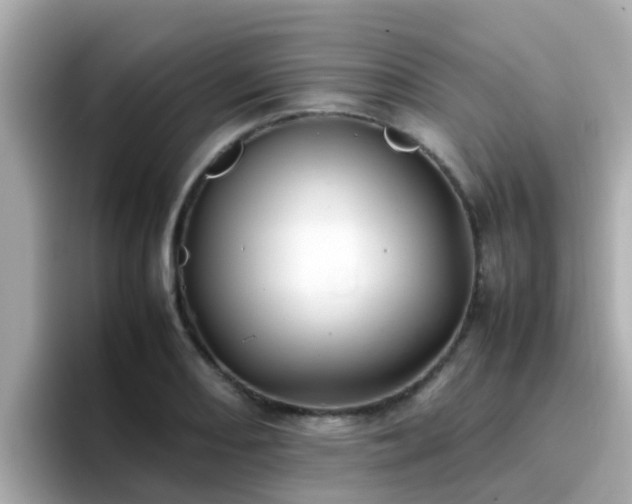 X0000096671082200802121146