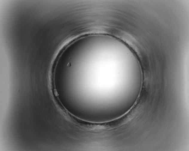 X0000096671085200802121146