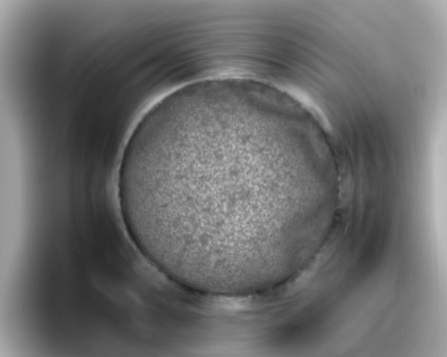 X0000096671086200802121146
