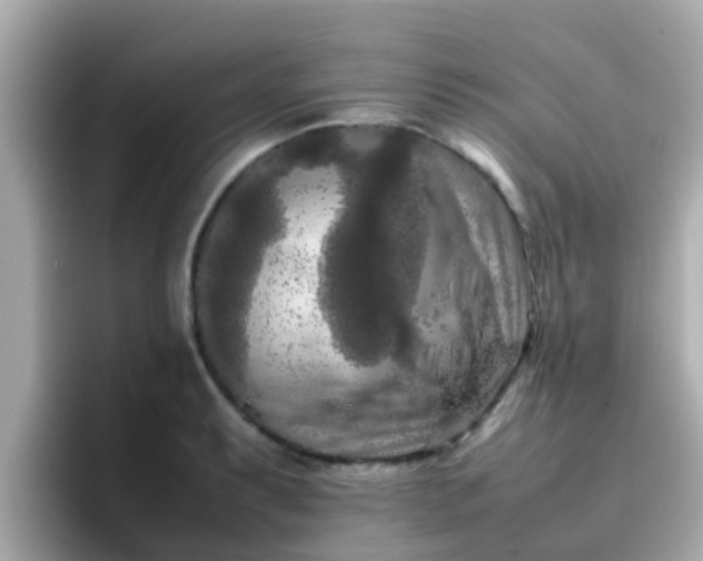 X0000096671087200802121146