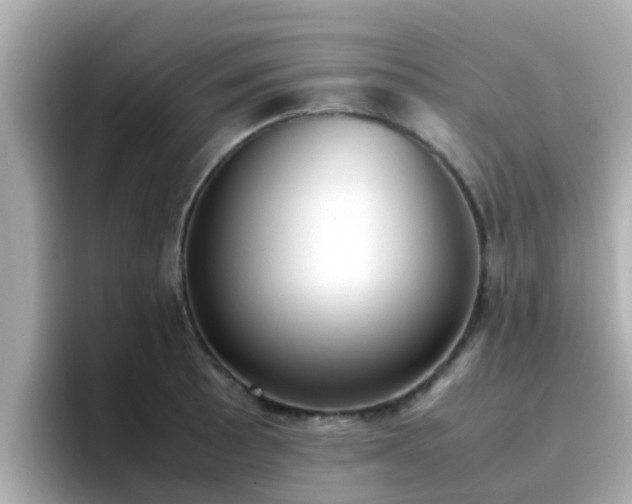 X0000096671089200802121146