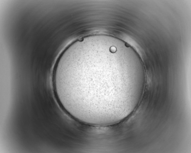 X0000096671090200802121146