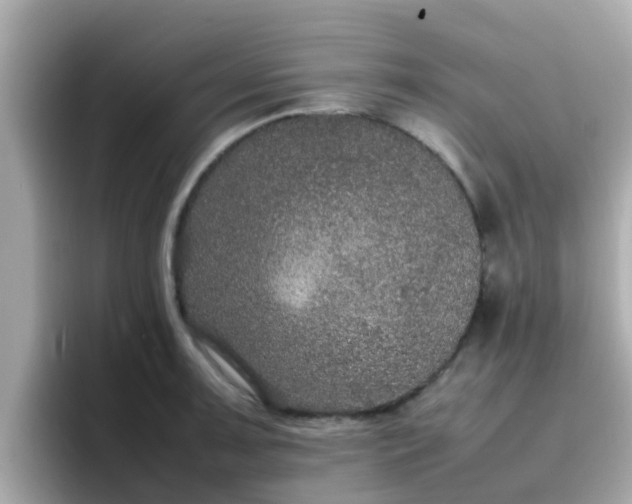 X0000096671091200802121146