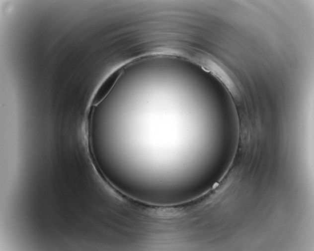 X0000096671092200802121146
