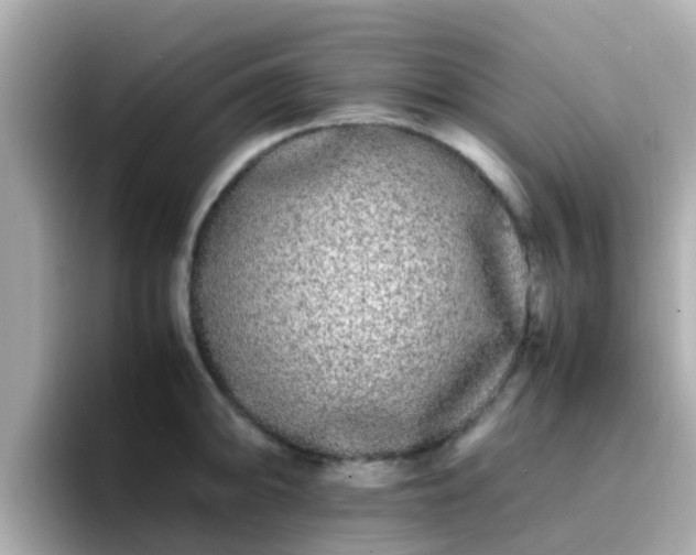 X0000096671094200802121146
