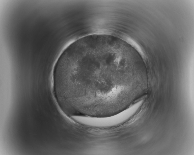 X0000096671095200802121146