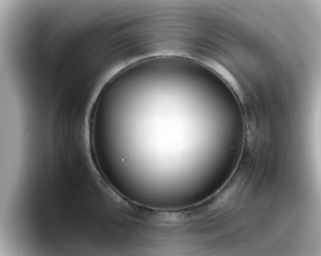 X0000096671096200802121146