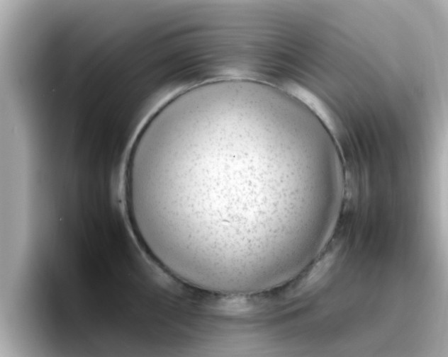 X0000096671098200802121146