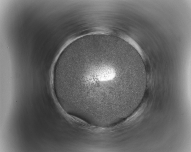 X0000096671099200802121146