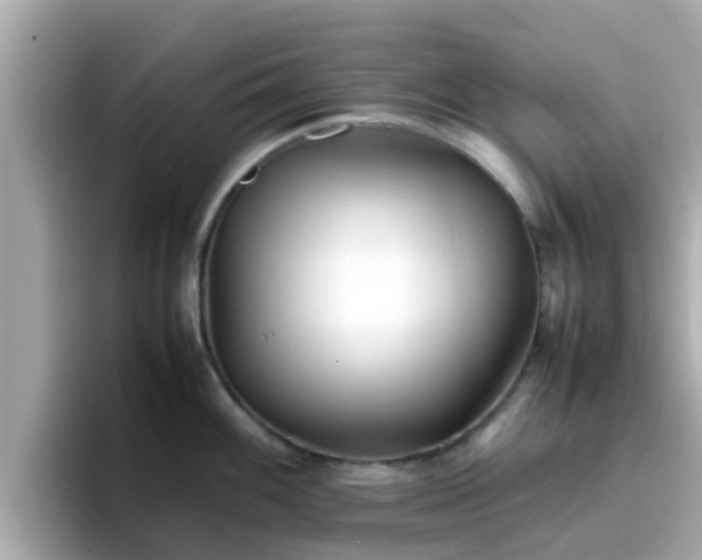 X0000096671100200802121146