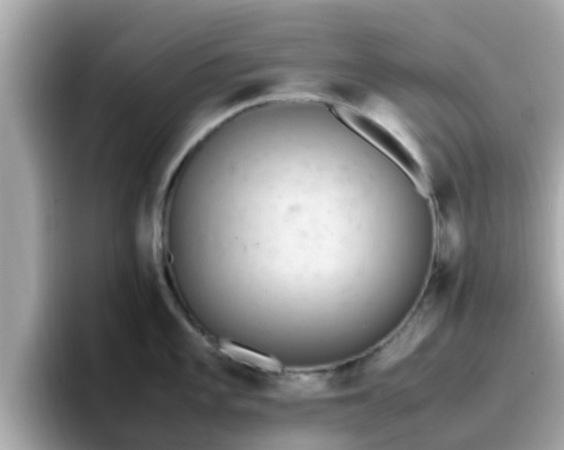 X0000096671101200802121146