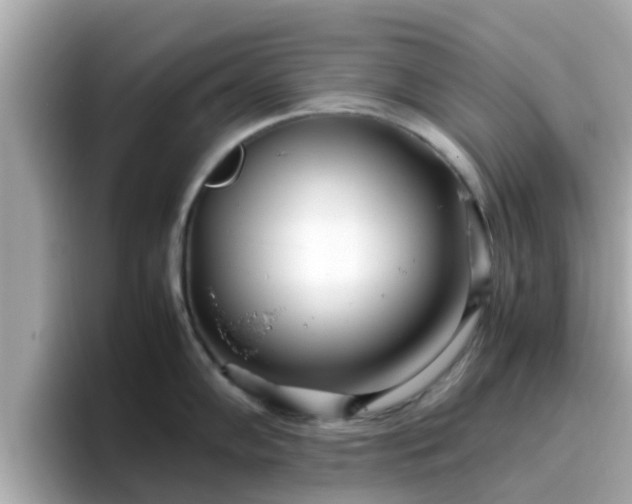 X0000096671102200802121146