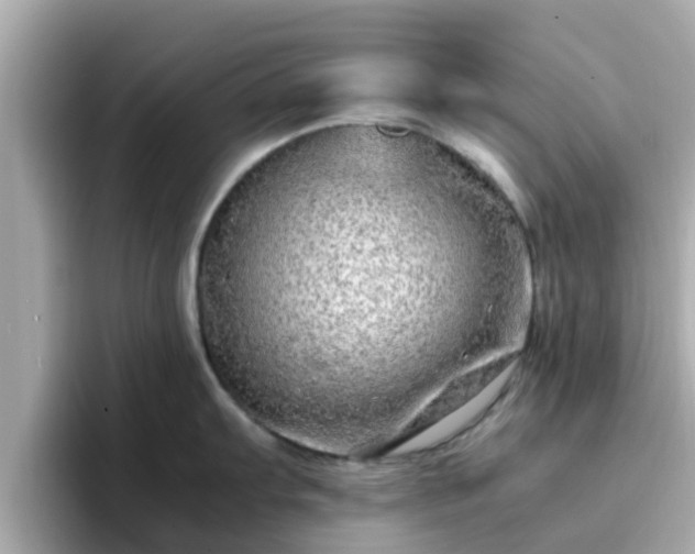 X0000096671103200802121146