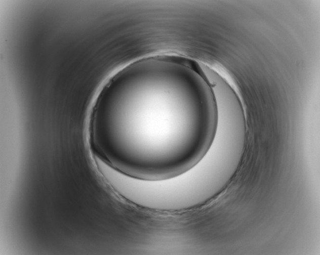 X0000096671104200802121146