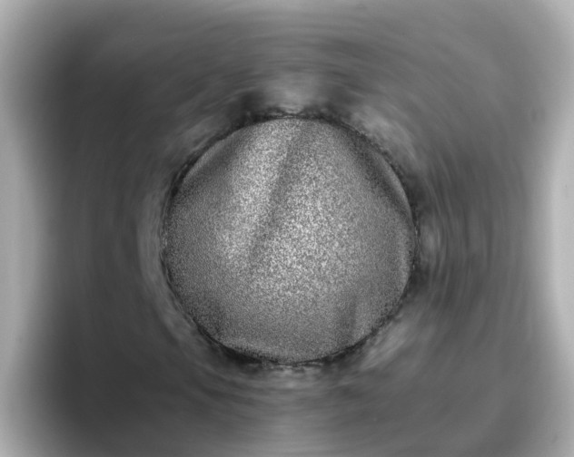 X0000096671105200802121145