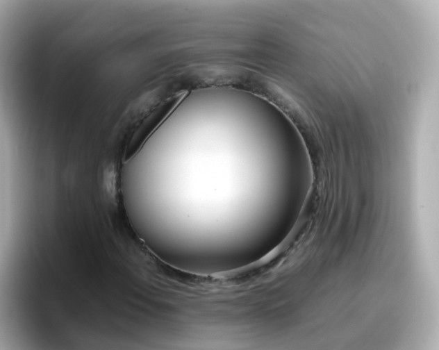 X0000096671108200802121145