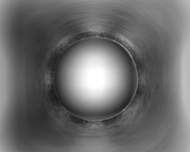 X0000096671110200802121145