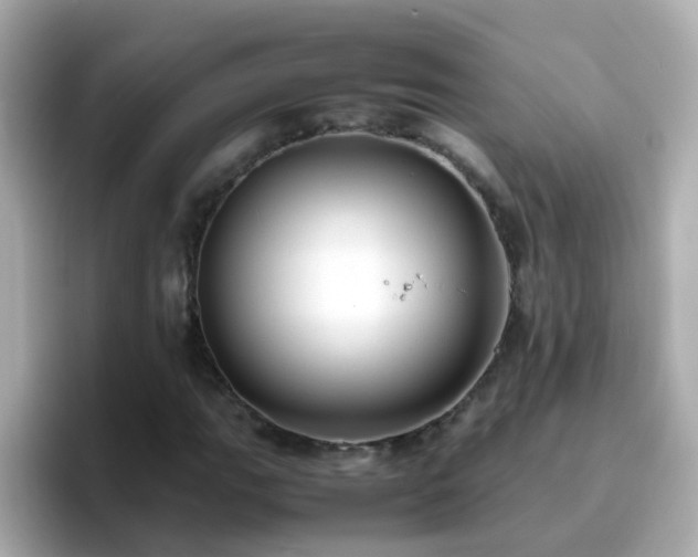 X0000096671111200802121145