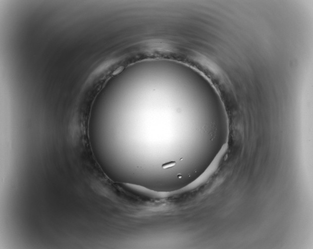 X0000096671112200802121145
