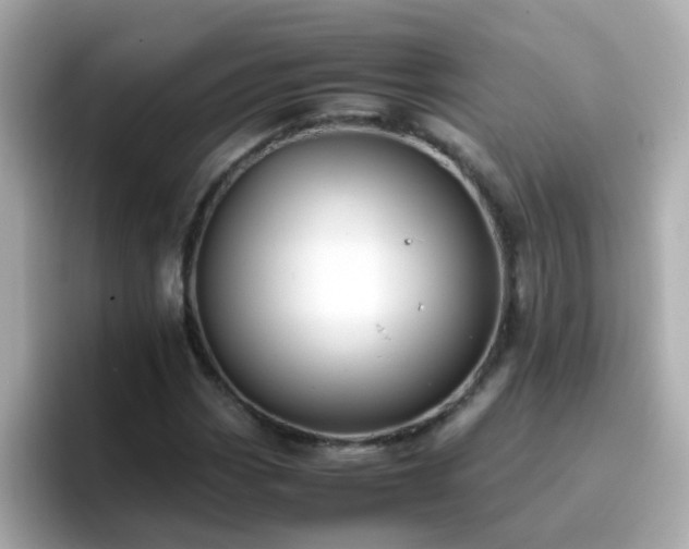 X0000096671113200802121145