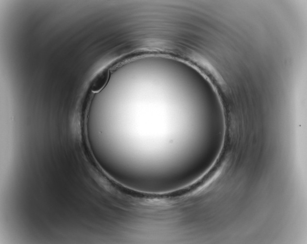 X0000096671114200802121145
