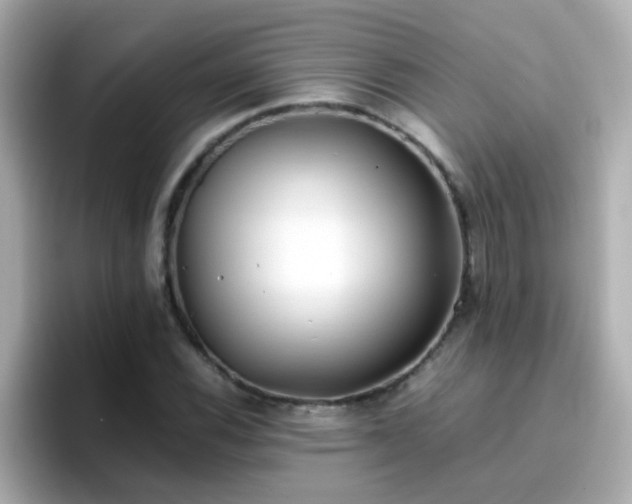 X0000096671116200802121145