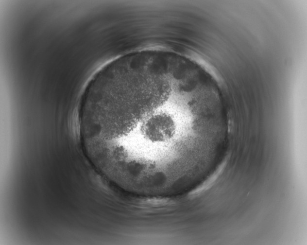 X0000096671117200802121145