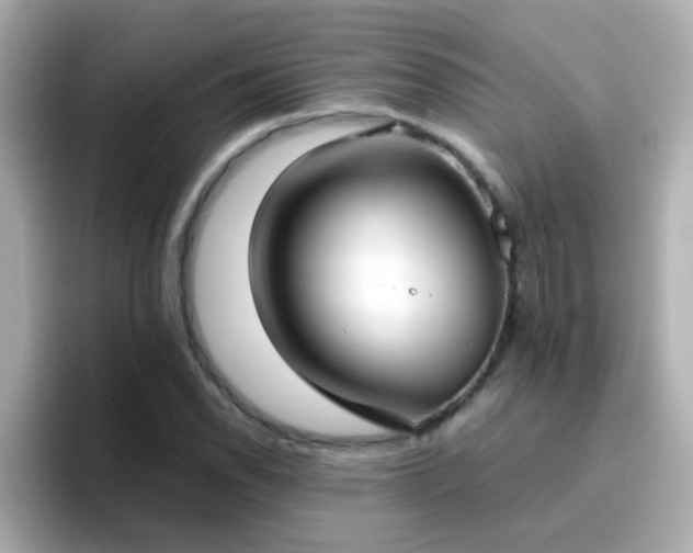X0000096671118200802121145