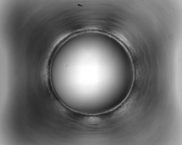 X0000096671119200802121145