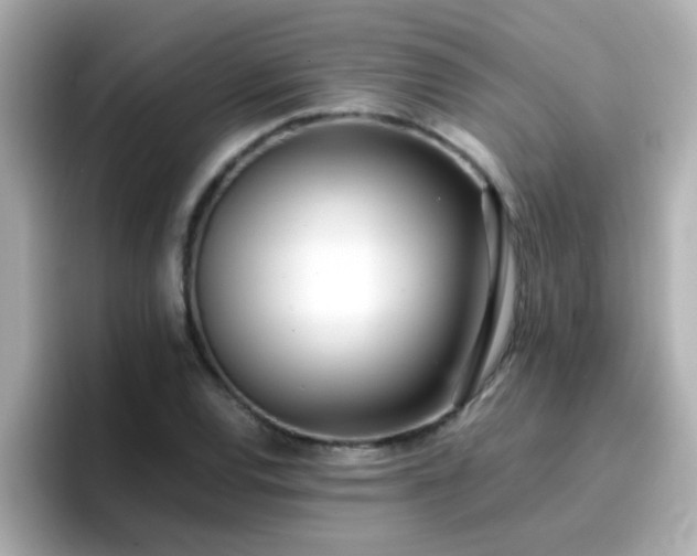 X0000096671120200802121145