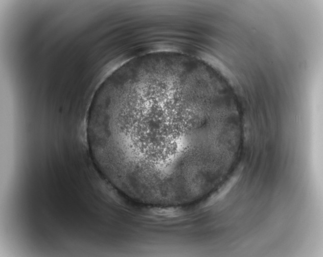 X0000096671121200802121145