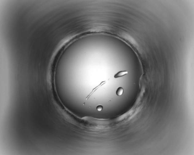 X0000096671122200802121145