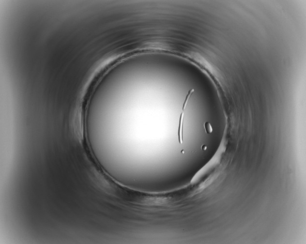 X0000096671123200802121145